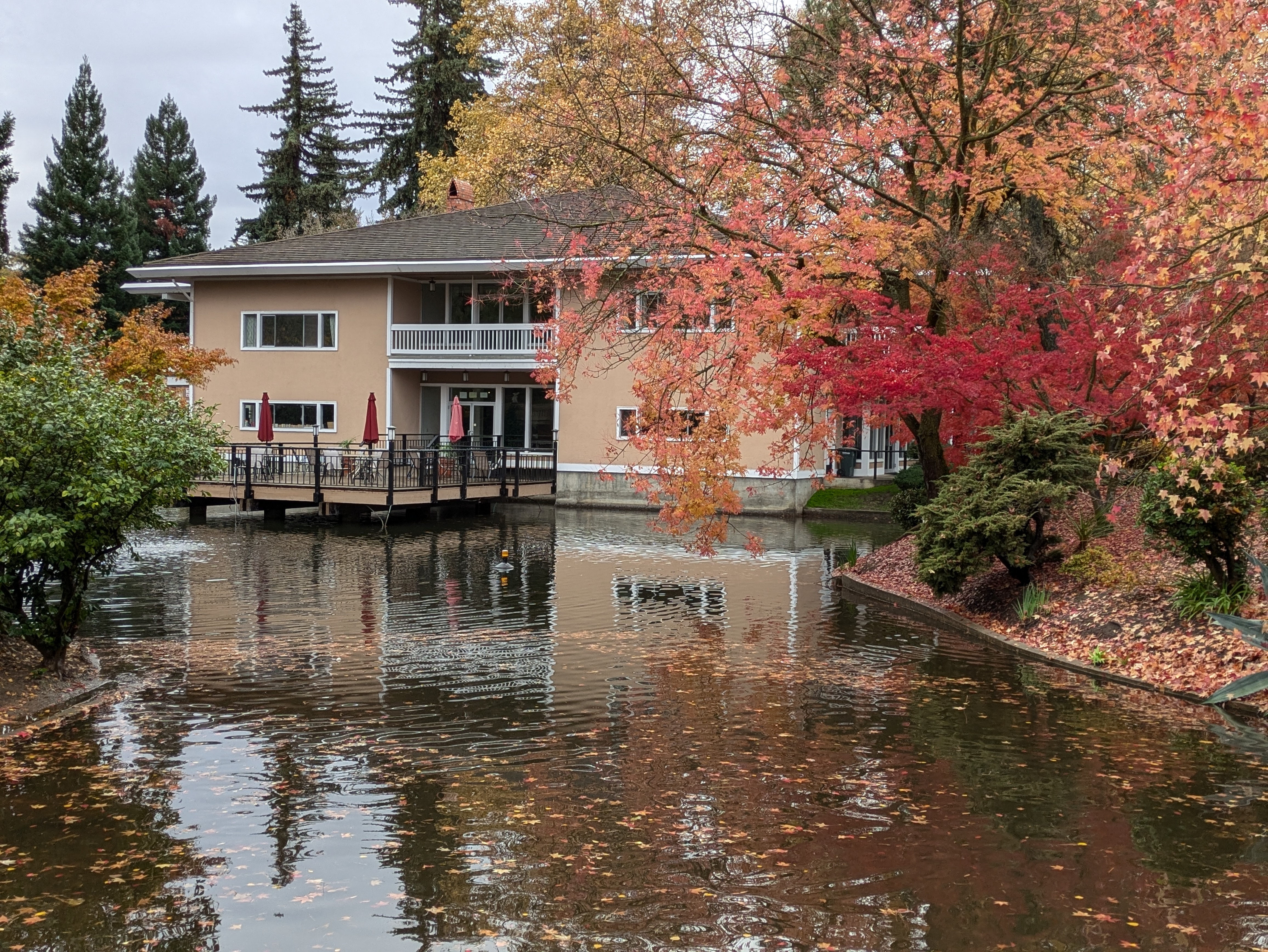 Welcome to Campus Commons Park Corporation!